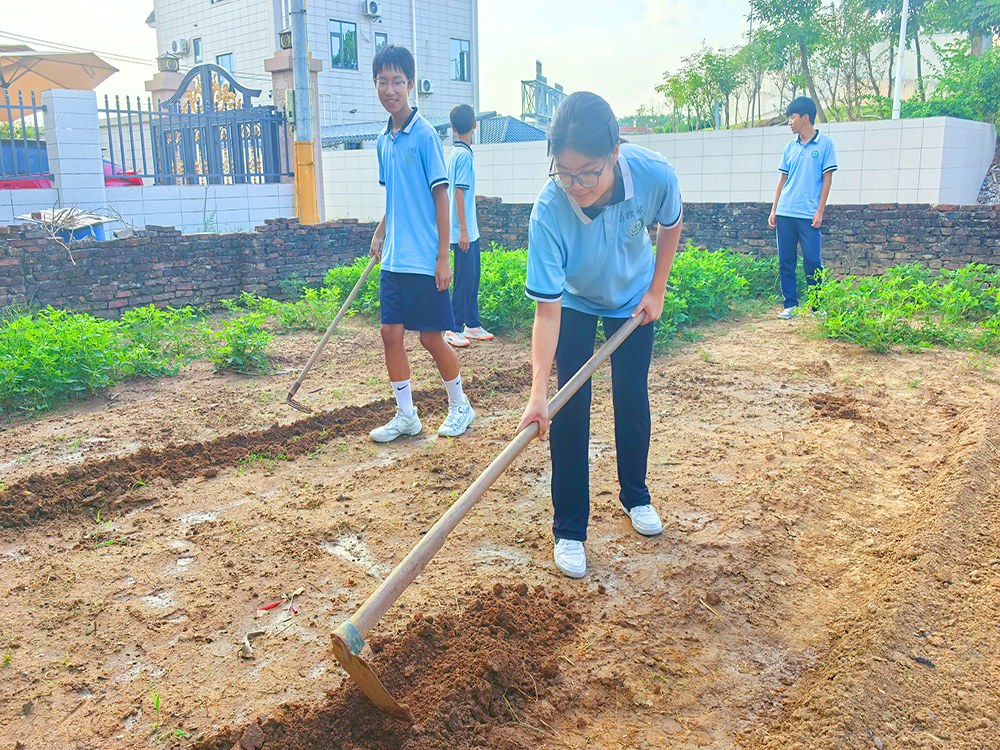 清远周边教育叛逆青少年的学校具体位置与选择指南